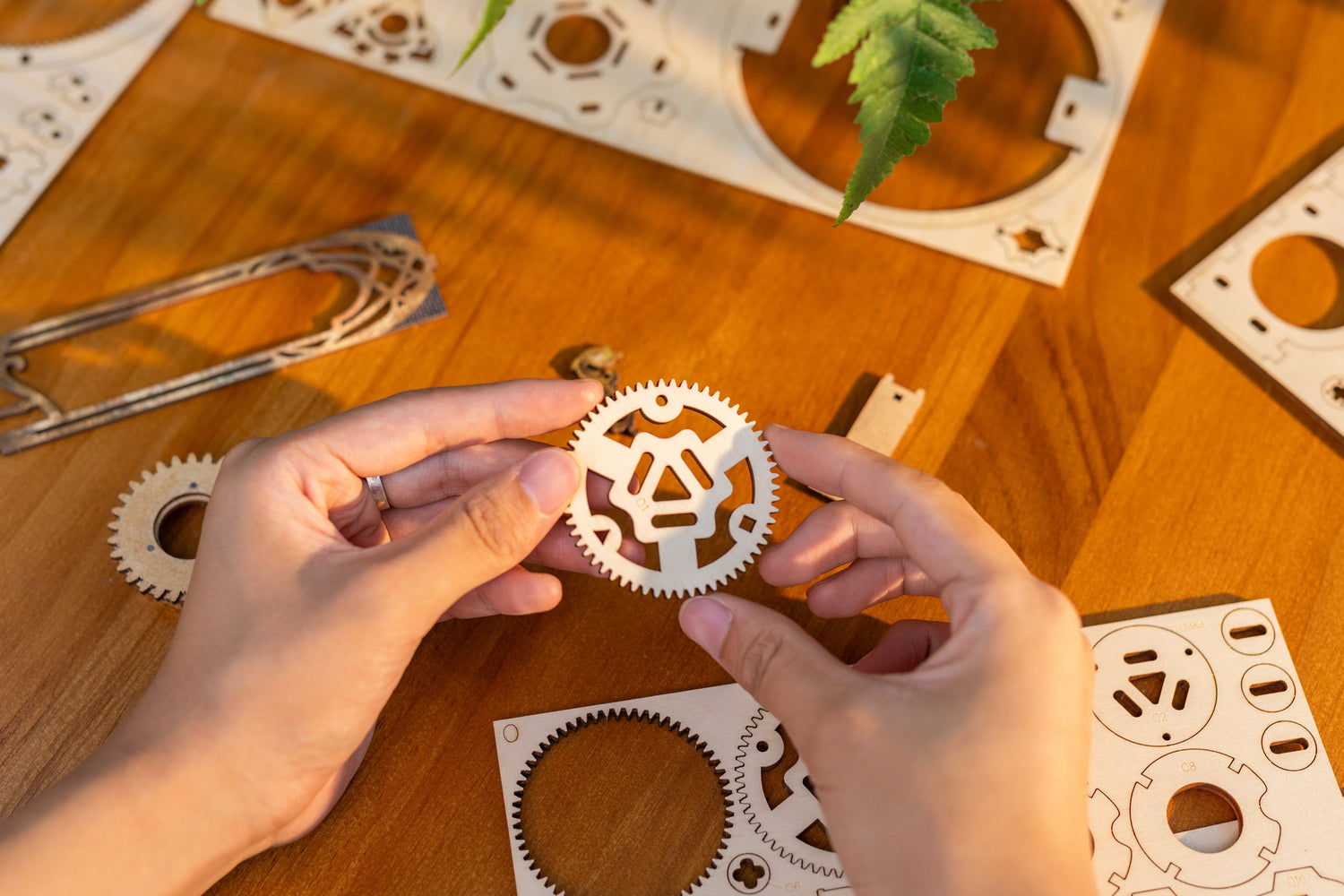 Build, Learn, Create: The Art of WooDooX 3D Wooden Puzzles