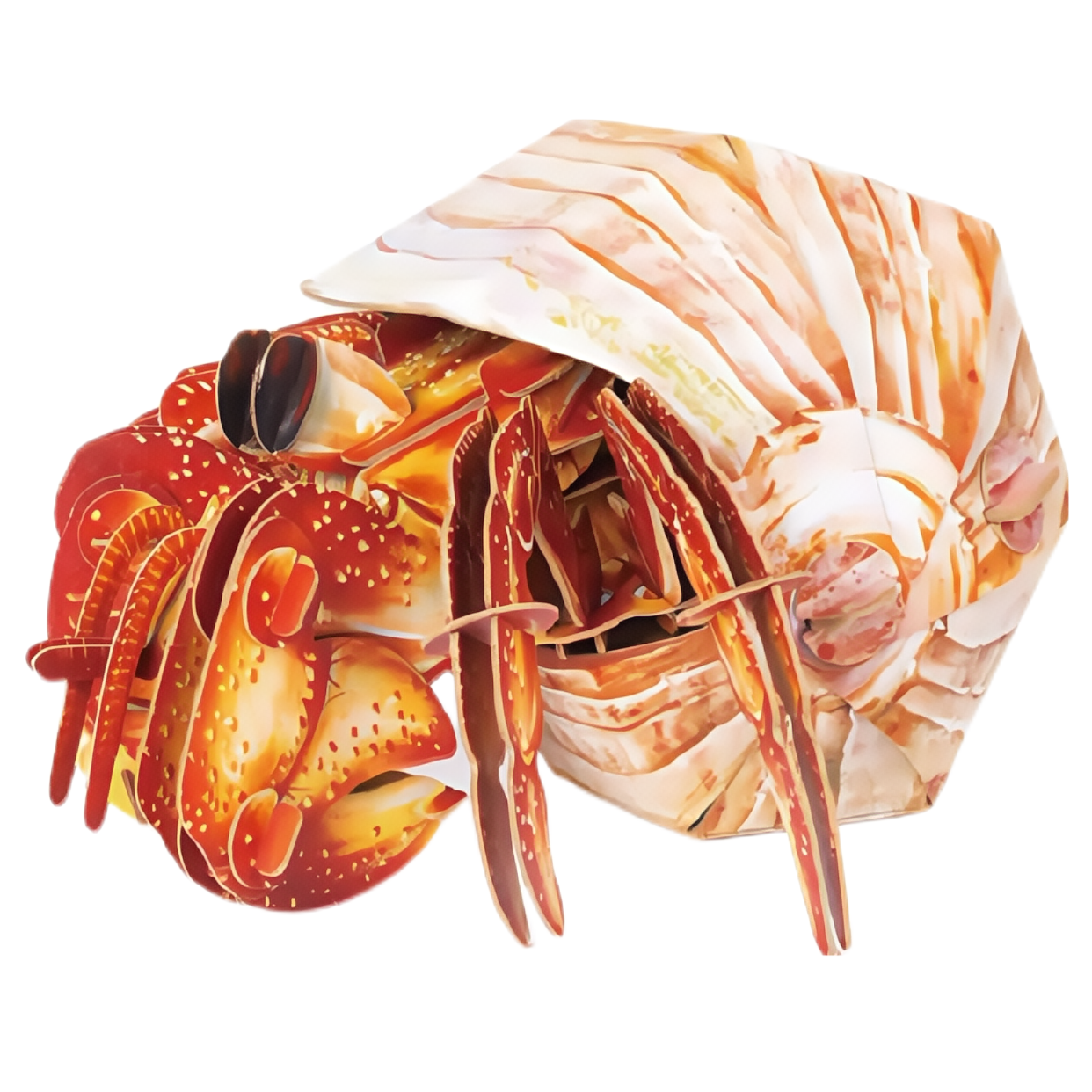 Hermit Crab 3D Wooden Puzzle Model