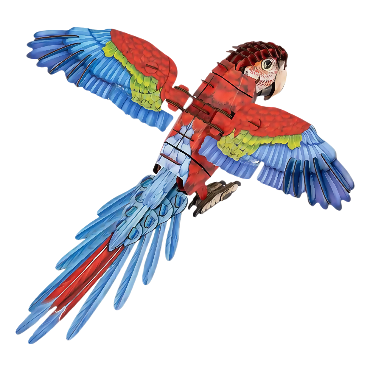 Macaw 3D Wooden Puzzle Model