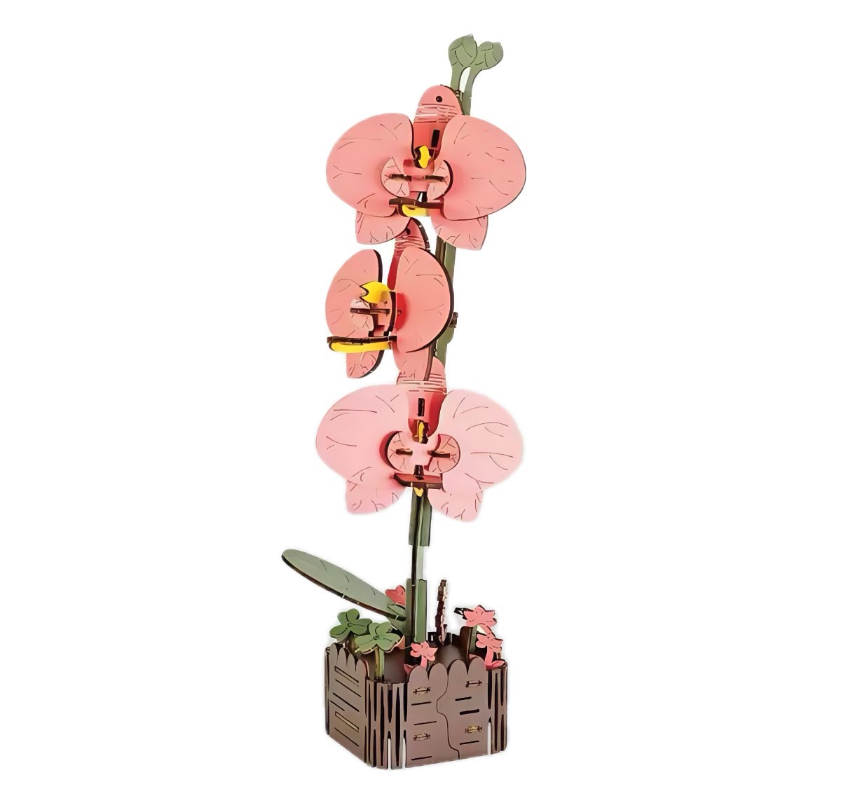 Phalaenopsis 3D Wooden Puzzle
